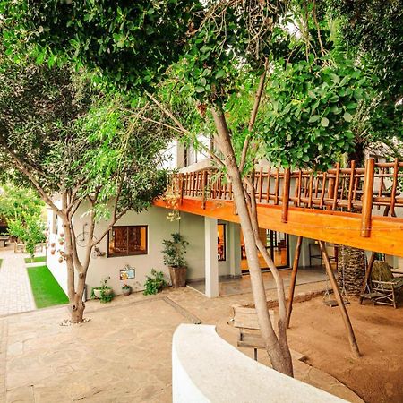 Little Forest Garden Retreat Bed & Breakfast Windhoek Exterior photo